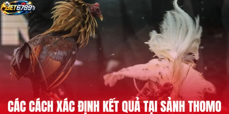 Các cách xác định kết quả tại sảnh Thomo