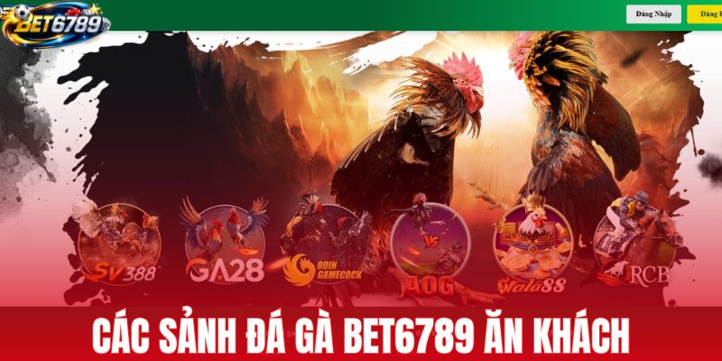 Các sảnh chơi đá gà BET6789 ăn khách nhất