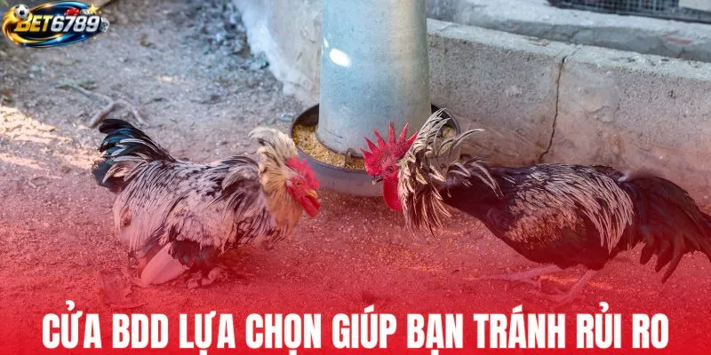 Cửa BDD lựa chọn giúp bạn tránh rủi ro