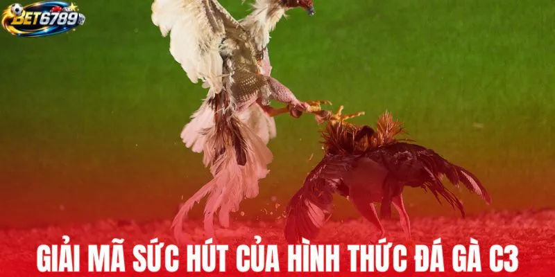 Giải mã sức hút của hình thức trực tiếp đá gà C3