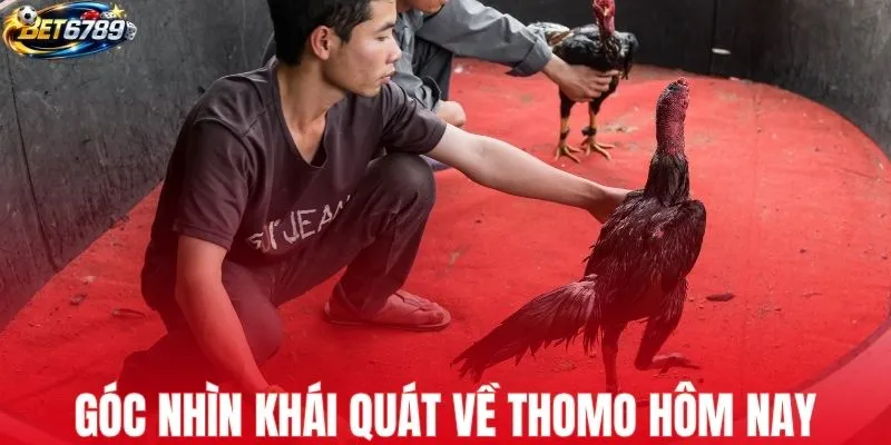 Góc nhìn khái quát về Thomo hôm nay