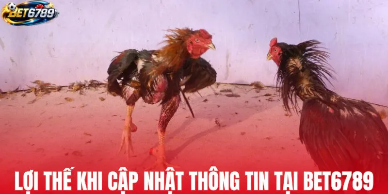 Lợi thế khi cập nhật Thomo hôm nay tại BET6789