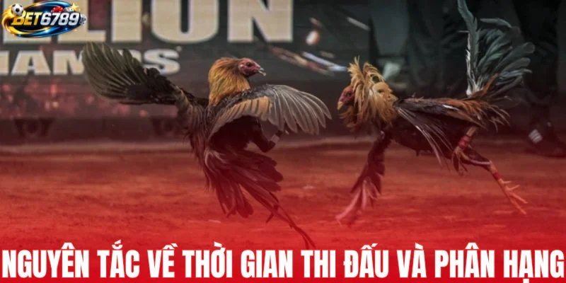 Nguyên tắc về thời gian thi đấu và phân hạng
