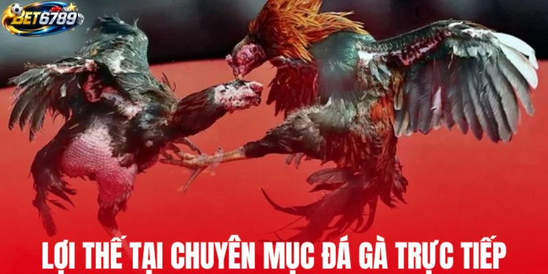 Những lợi thế chỉ có tại chuyên mục đá gà trực tiếp