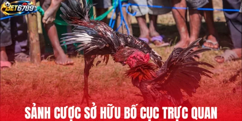 Sảnh cược sở hữu bố cục trực quan