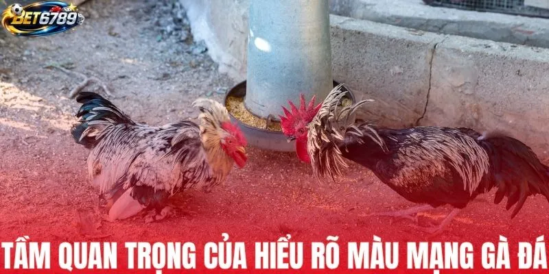 Tầm quan trọng của hiểu rõ màu mạng gà đá