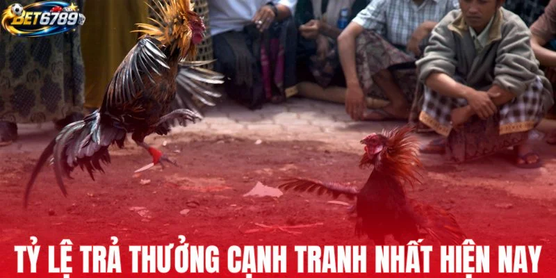 Tỷ lệ trả thưởng tại sảnh SV388 cạnh tranh nhất hiện nay
